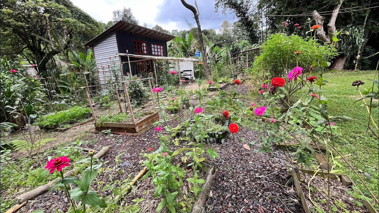 TOUR de HUERTO en CASA 🫑🍅🥒🌸