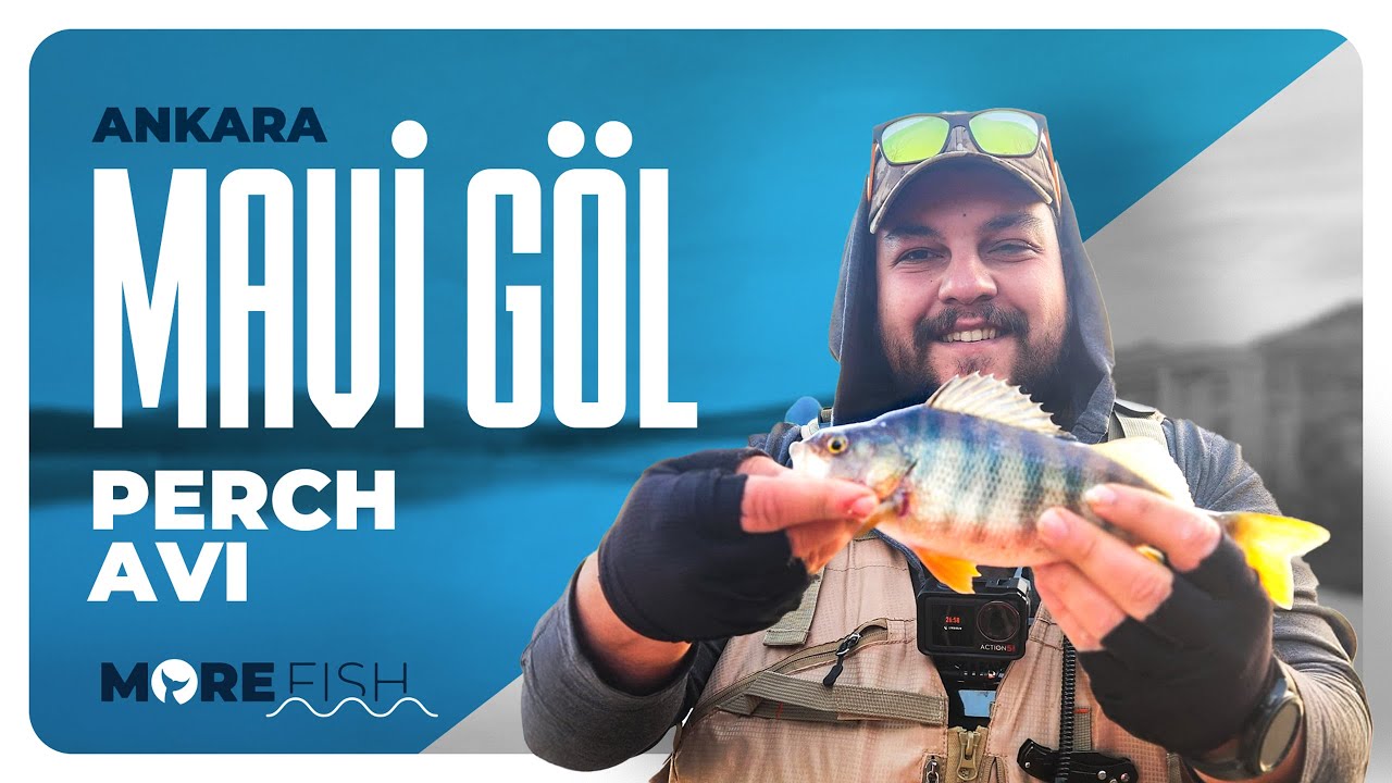 Ankara Mavi Göl Perch Avı | Bol Aksiyonlu