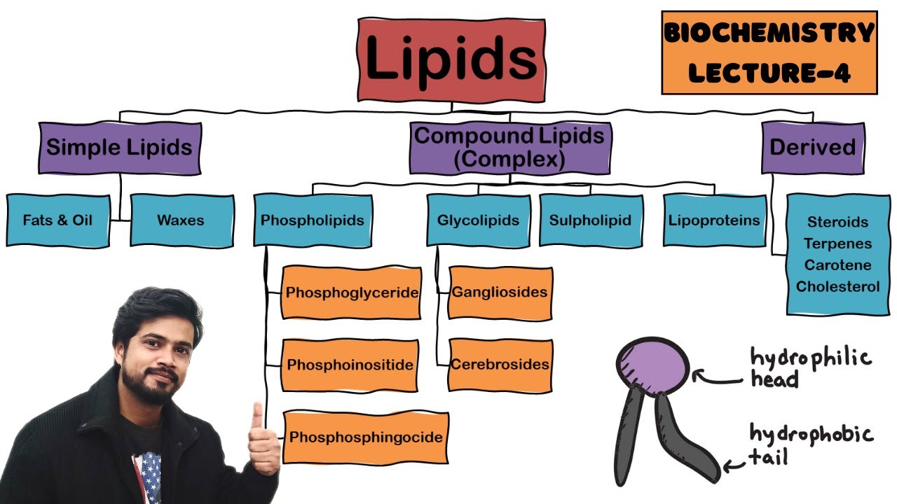 Lipids Kya hota hai? | Classification of Lipids | Biochemistry Lecture in Hindi