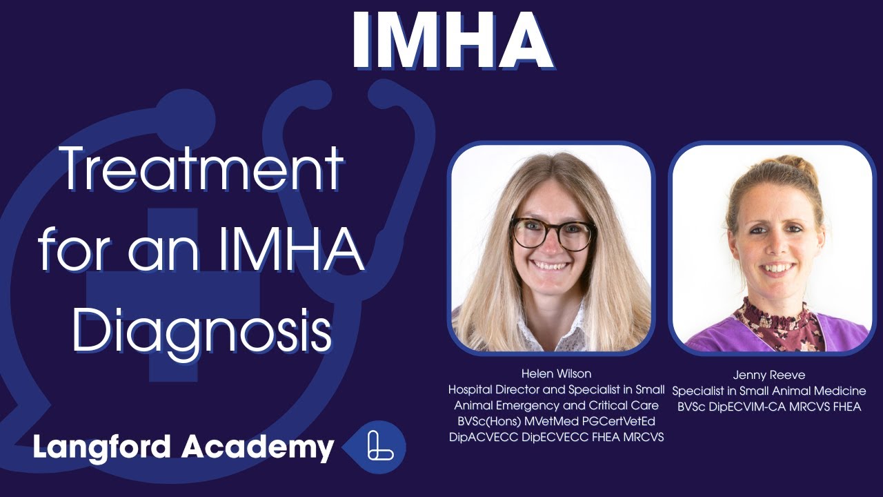 IMHA Part 2: Treatment