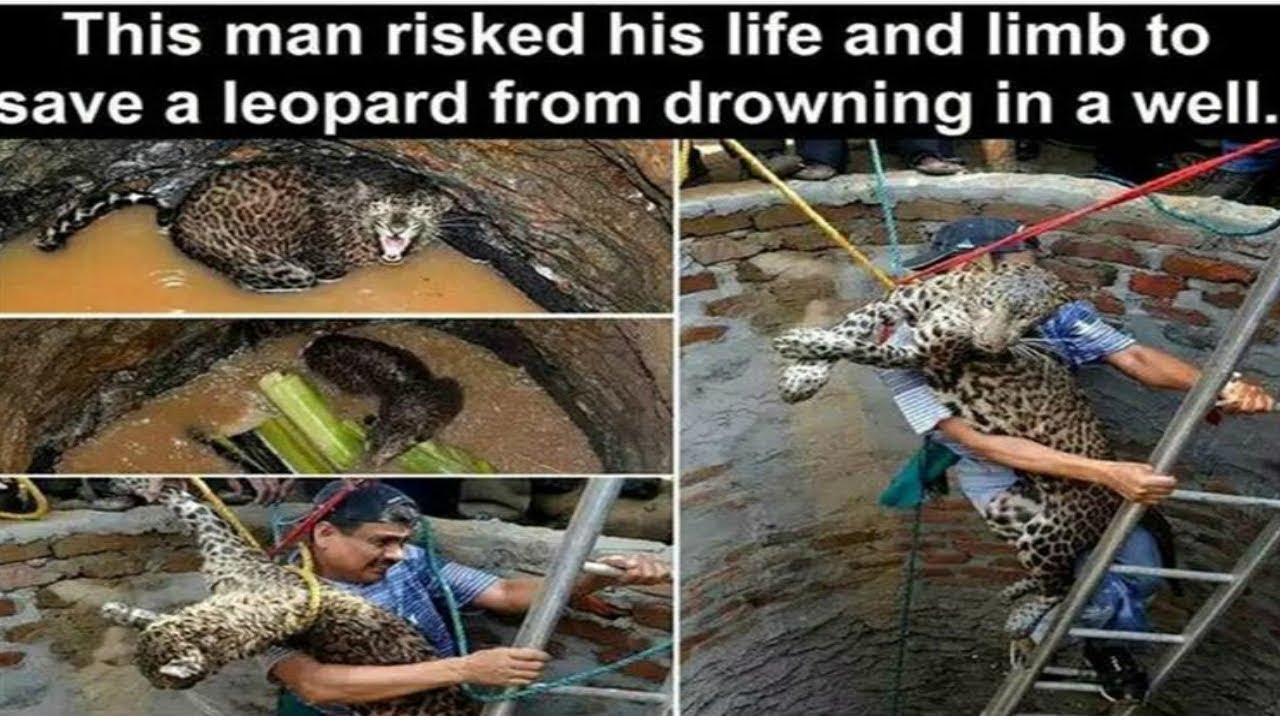 Real Life Heroes - Ultimate Compilation 2018 - Faith In Humanity Restored-Good People Compilation