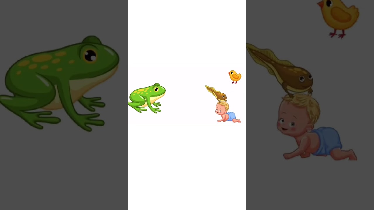 #BKG