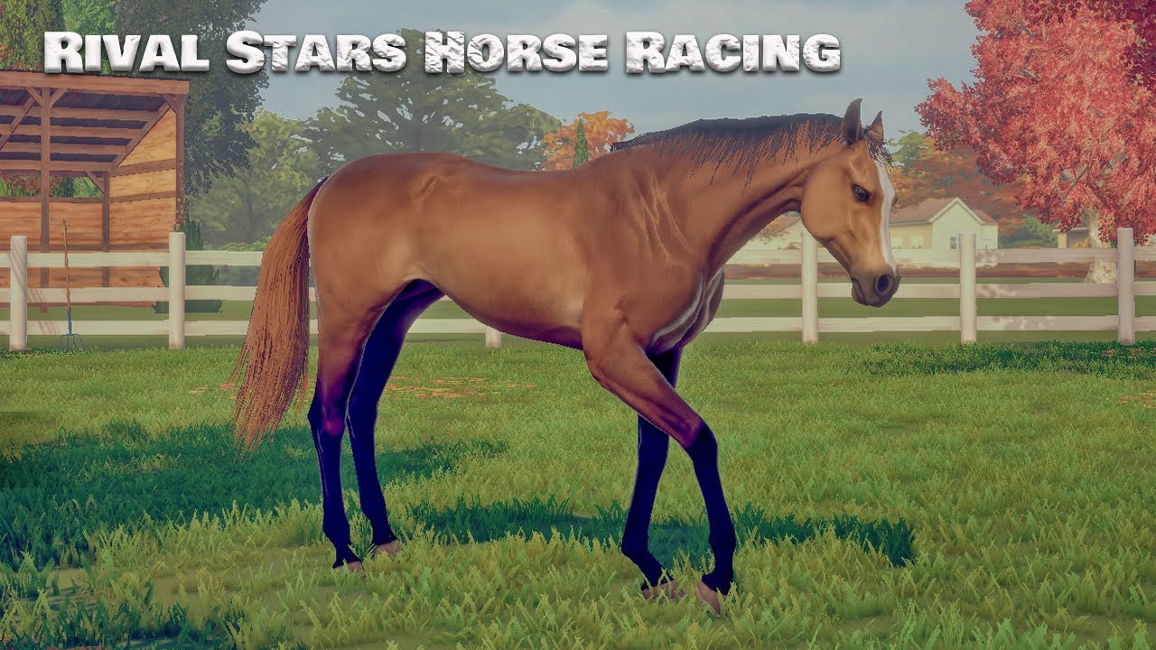 Стрим) Rival Stars Horse Racing! Соревнуемся и разводим лошадок