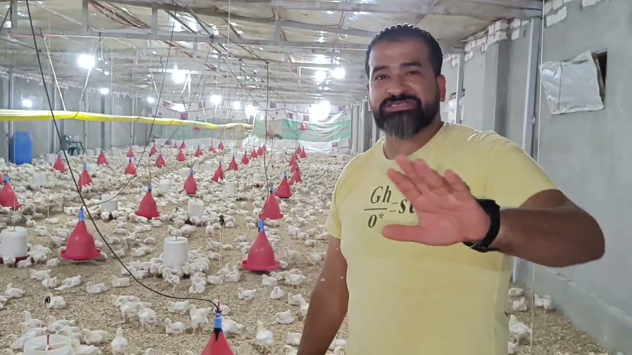 الحلقه السابعه مع الفنان محمد نجيب من الريف الاوروبي معلومات مهمه