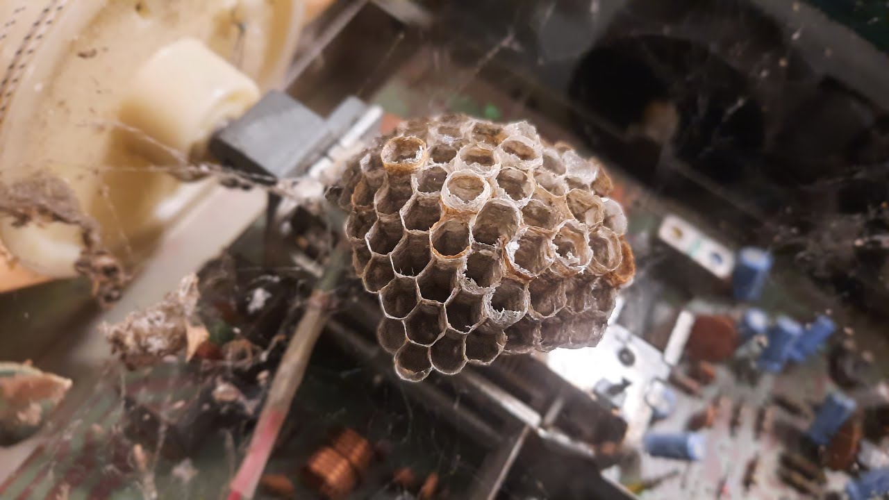 Wasp's nest in a Marantz 2050L (1980) tuner