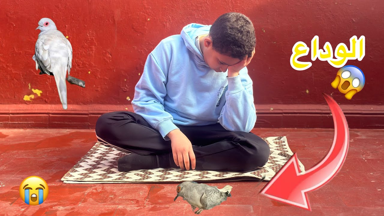 الوداع 🥹كارثة في المحمية 😭ماسة تفاقنا إلى الأبد 