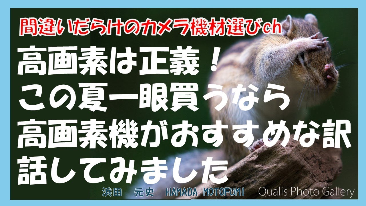 間違いだらけのカメラ機材選びch 「高画素は正義！この夏一眼買うなら高画素機がおすすめな訳話してみました」