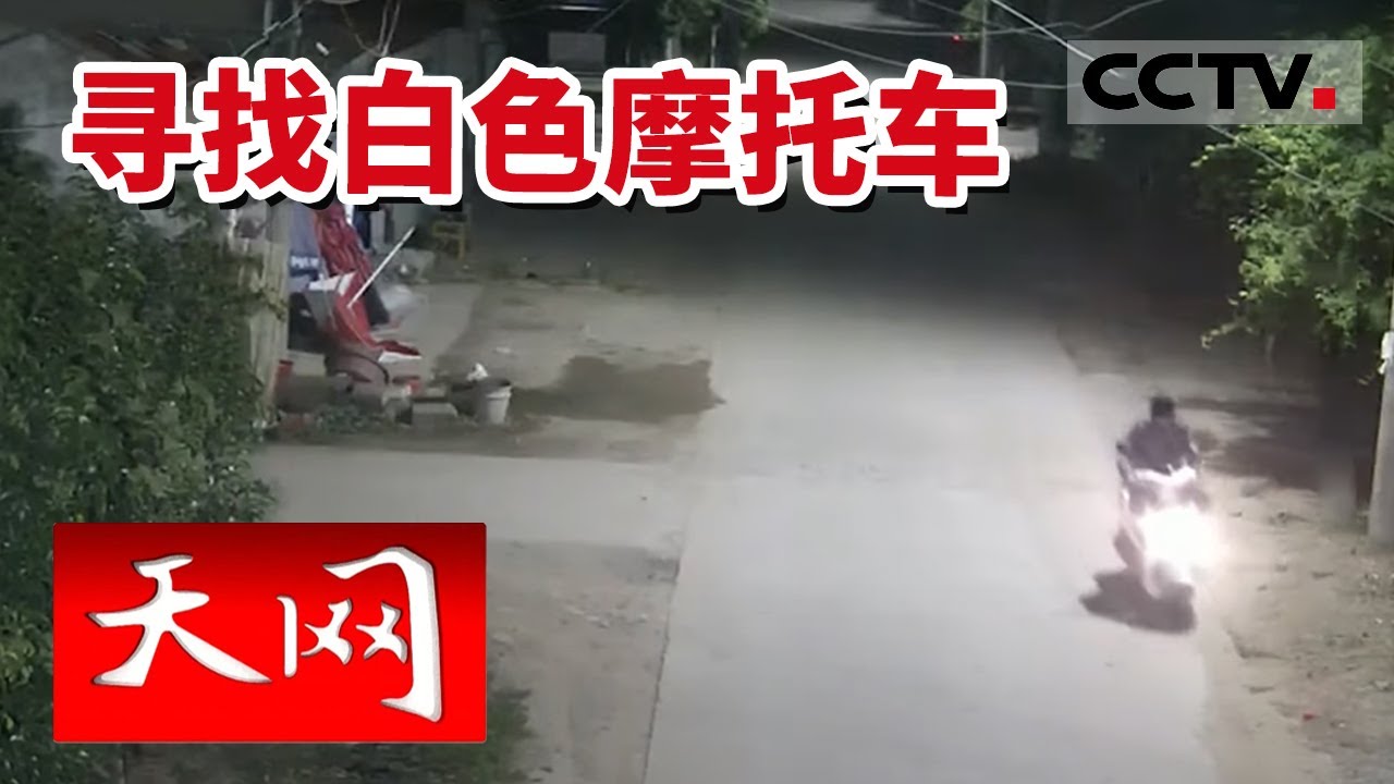 《天网》金店被盗! 他究竟逃向何方？ 20220901 | CCTV社会与法