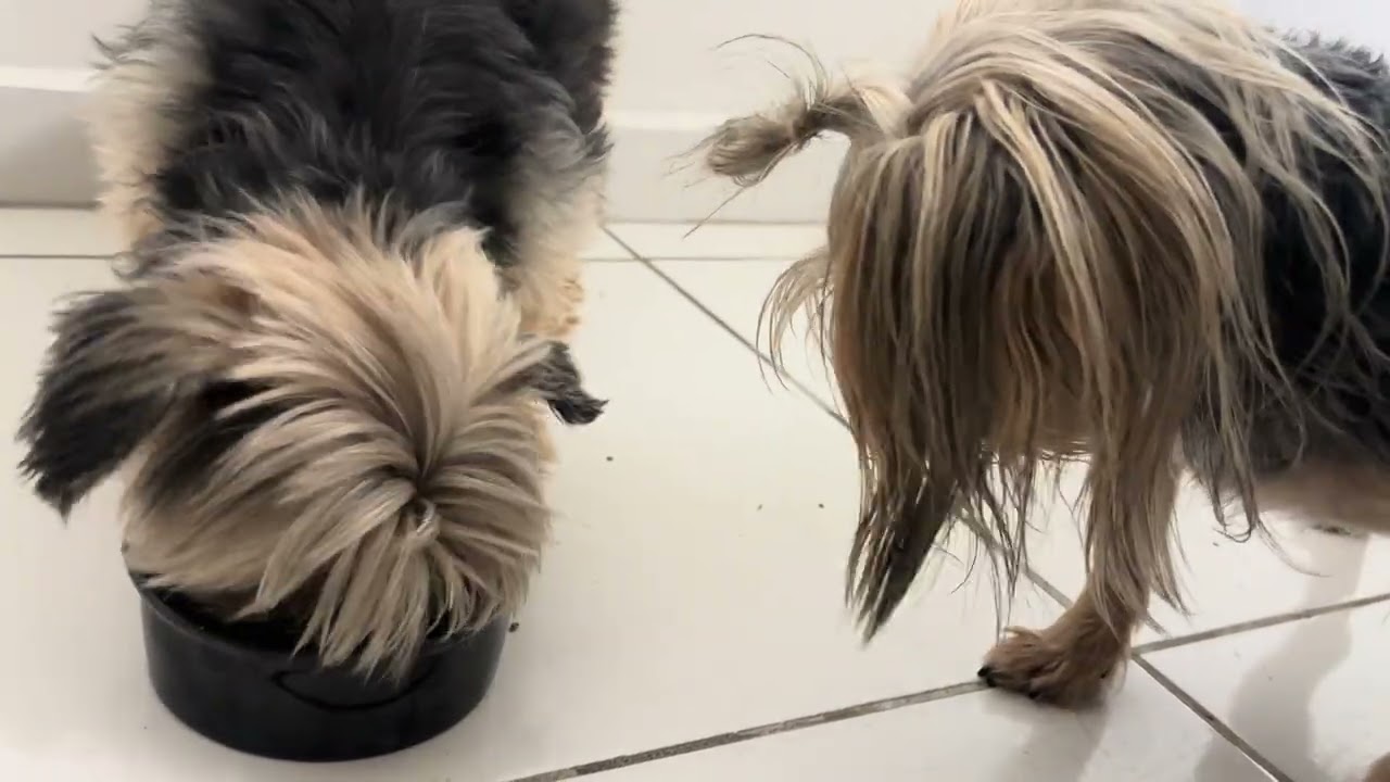 Toda vez que eu faço sopinha pra eles, é festa
