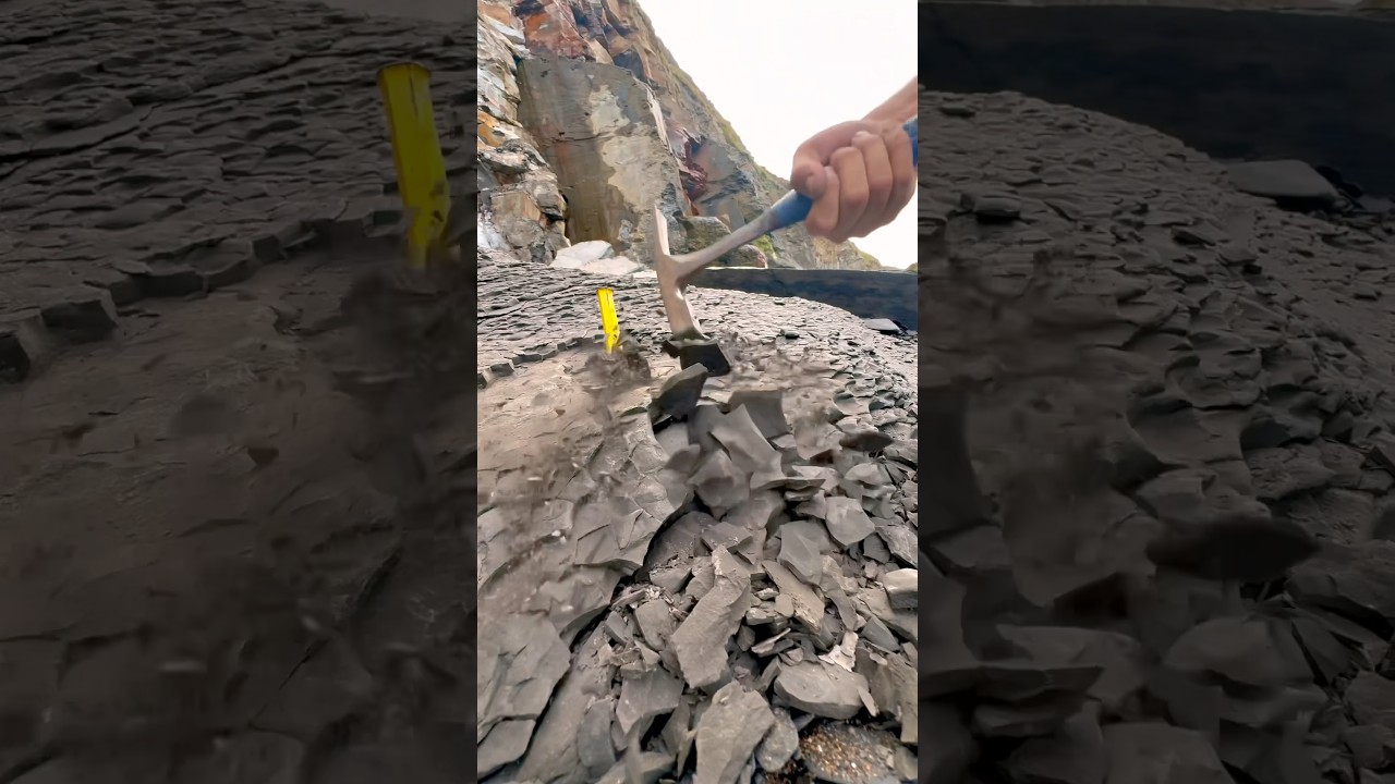 We Extracted A PERFECT Cephalopod Fossil! 🤯