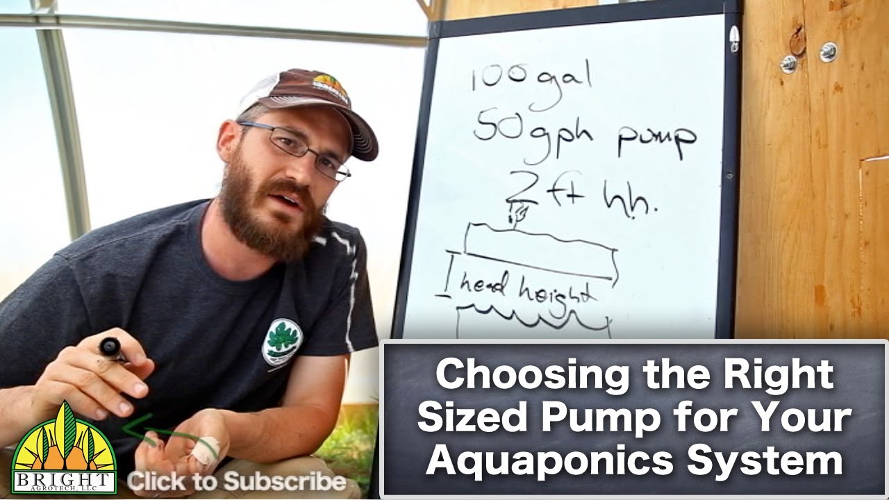 Sizing a Pump for Your Aquaponics or Hydroponics System