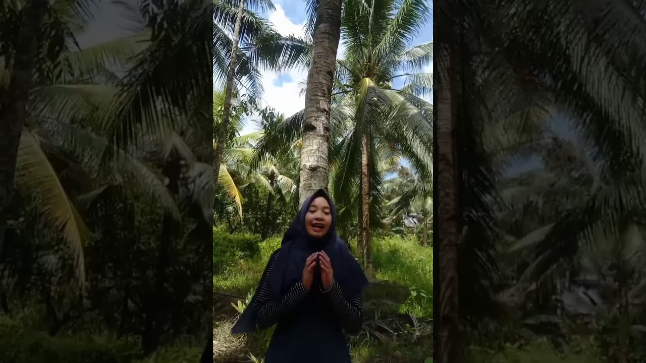 Mari mengenal fungi dan lichenes✨