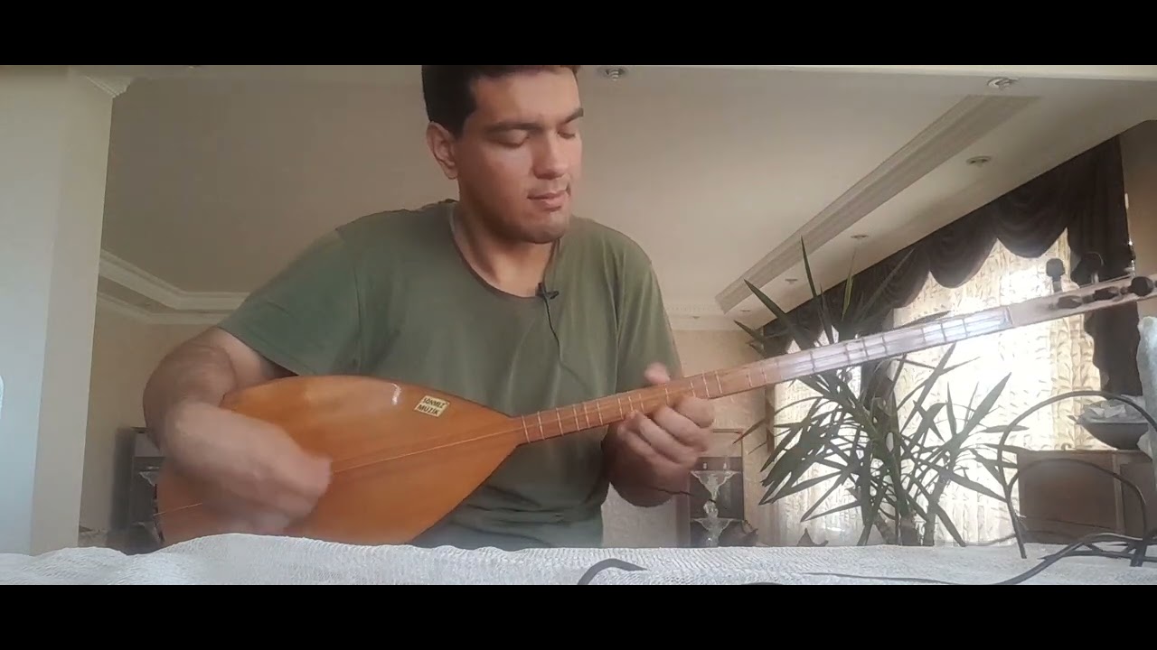Mert Ünalan-Bahçe Duvarından Aştım