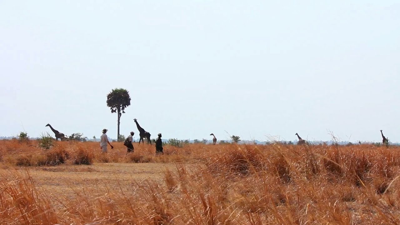 Chada Camp | Tanzania | Expert Africa