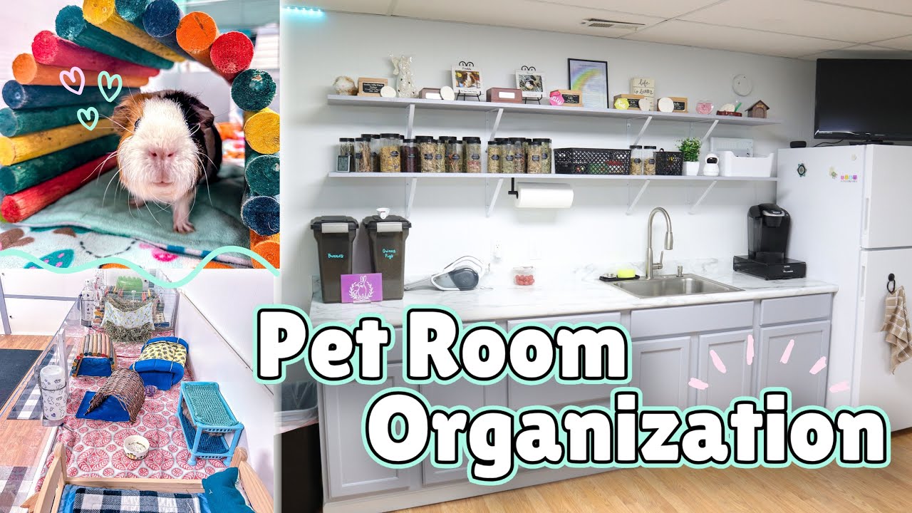 PET ROOM ORGANIZATION + TOUR 🐹🐰💗