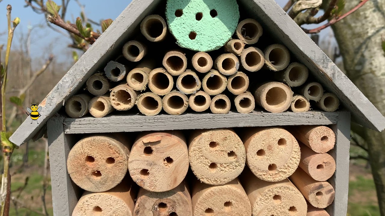 BRITISH BEEKEEPING: LIVING LAND - INSECT AND BEE HOTELS