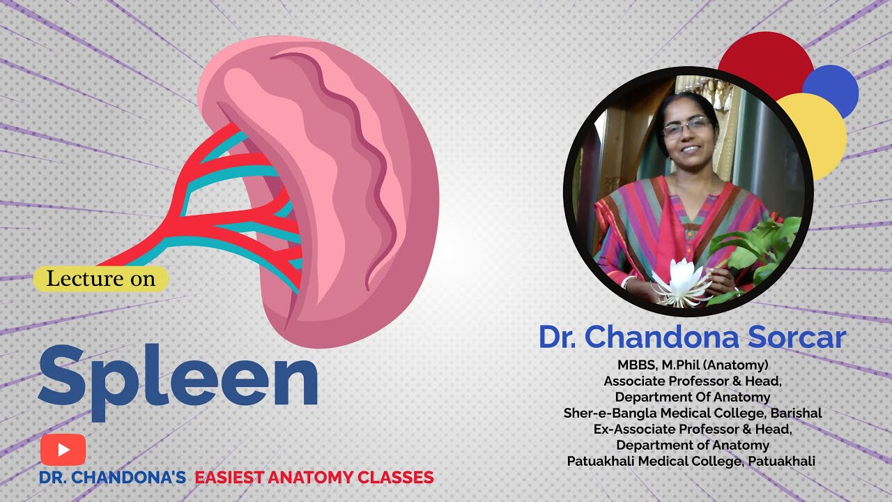 Lecture On Spleen