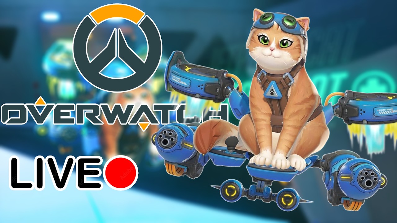 🔴เล่นเพราะแมวมีอยู่จริง Overwatch