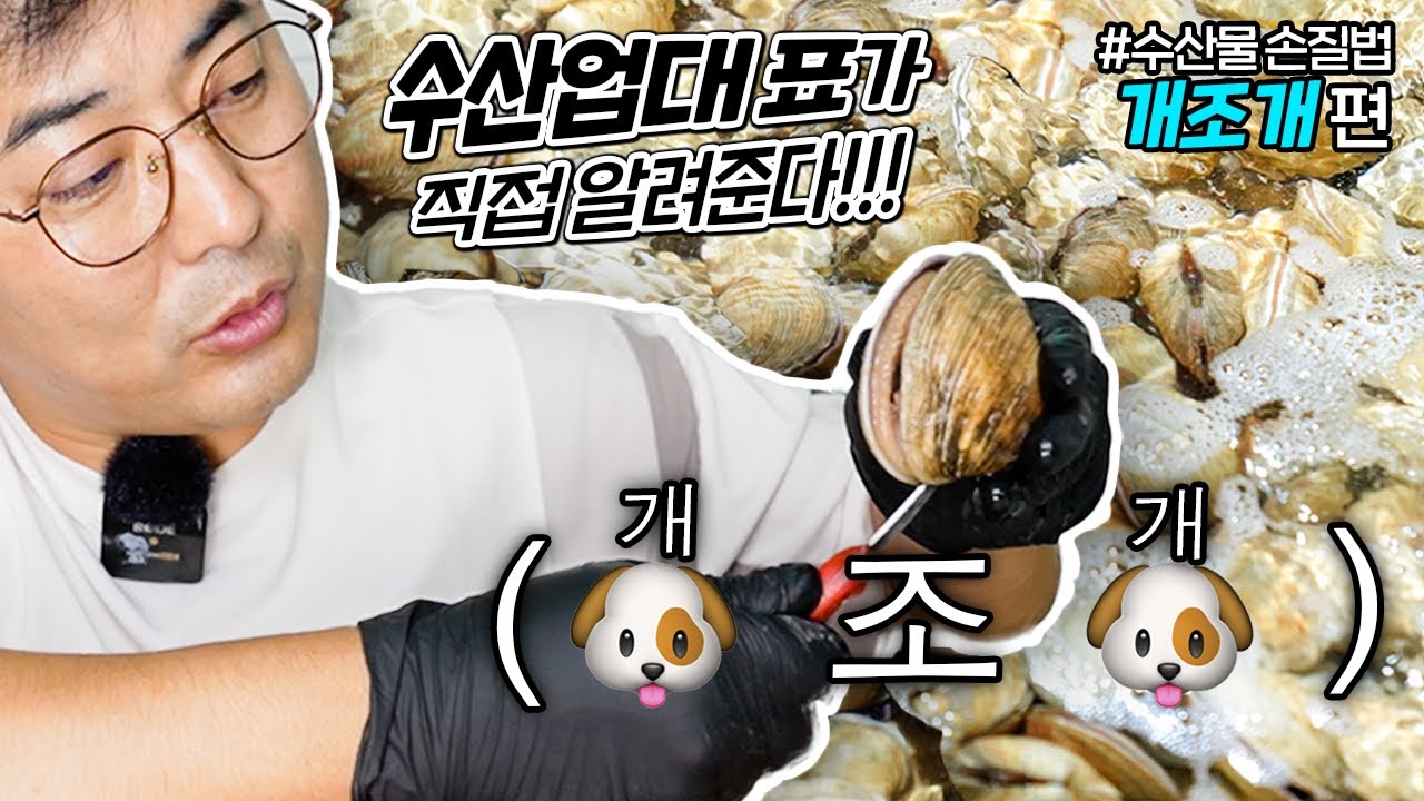 [개조개 손질방법] 수산업대표가 직접 알려줌 ㅣ해산물 손질법ㅣ (ENG SUB)