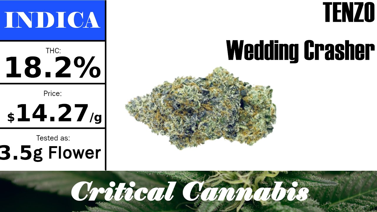 Tenzo - Wedding Crasher | OCS Strain Review