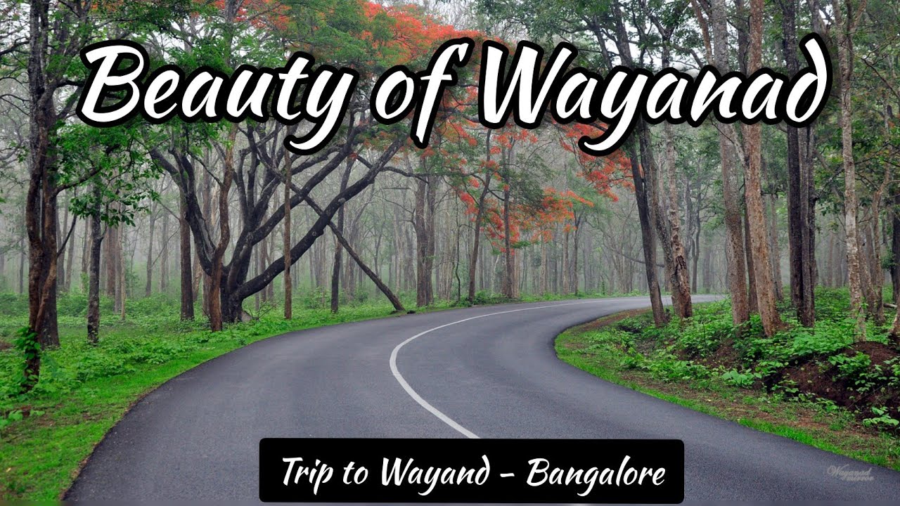 #33 BEAUTY OF WAYAND|| TRAVEL || TRIP || KERALA|| GODS OWN COUNTRY||