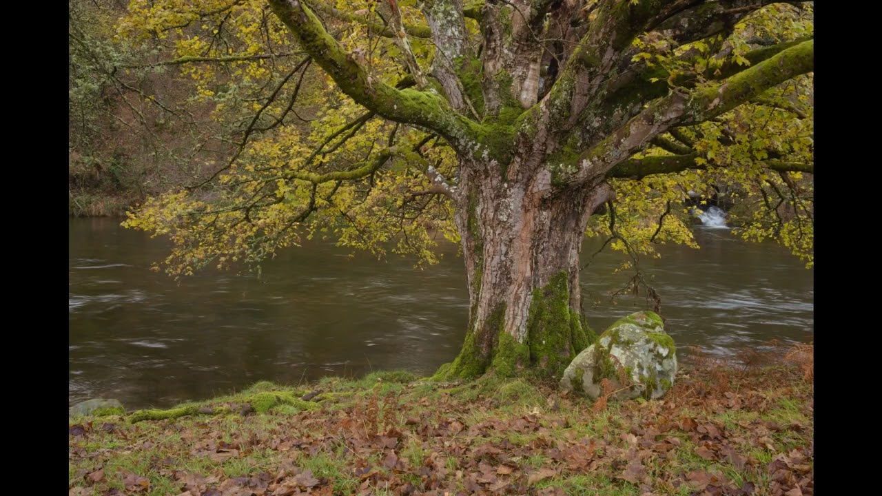 River, Rain and a Dipper!
