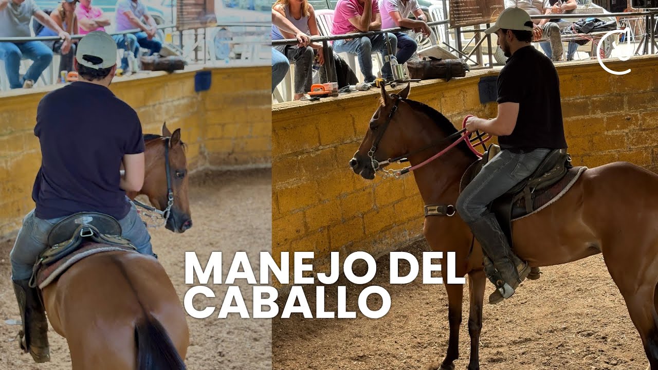 Manejo de piernas y hombros en el caballo, comandos de voz