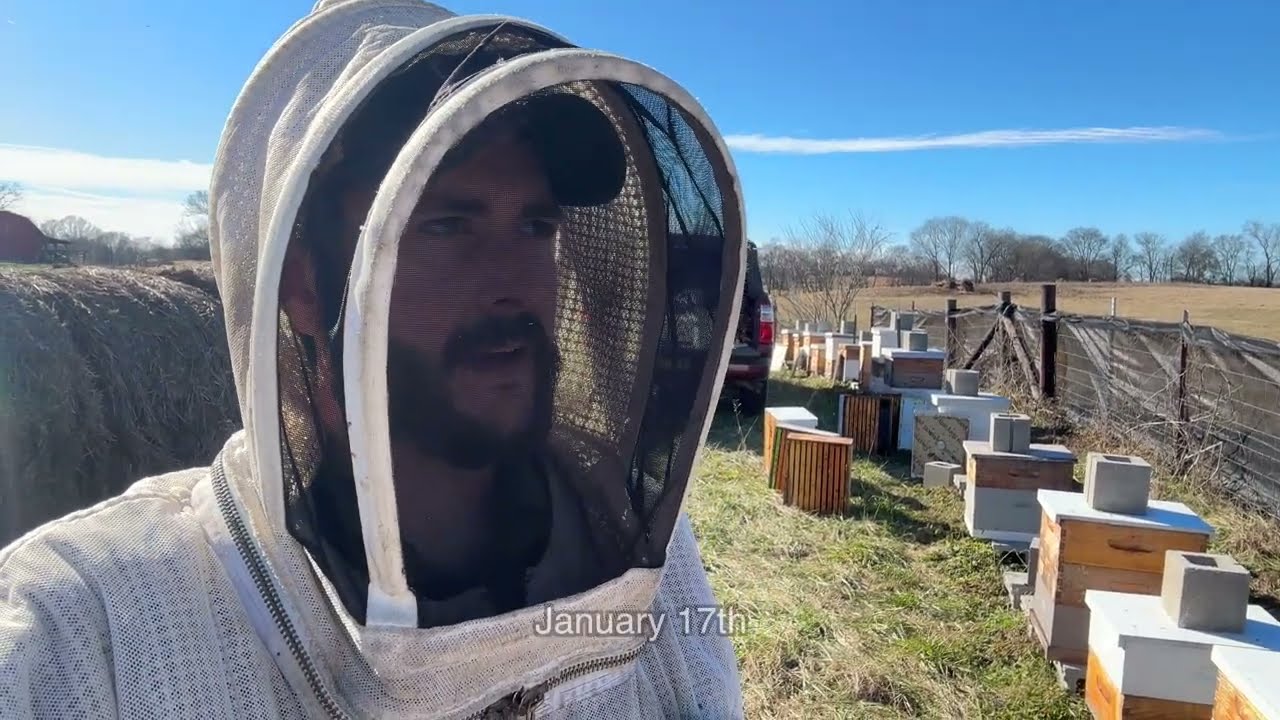 Enter Spring - Building a Bee Business #68