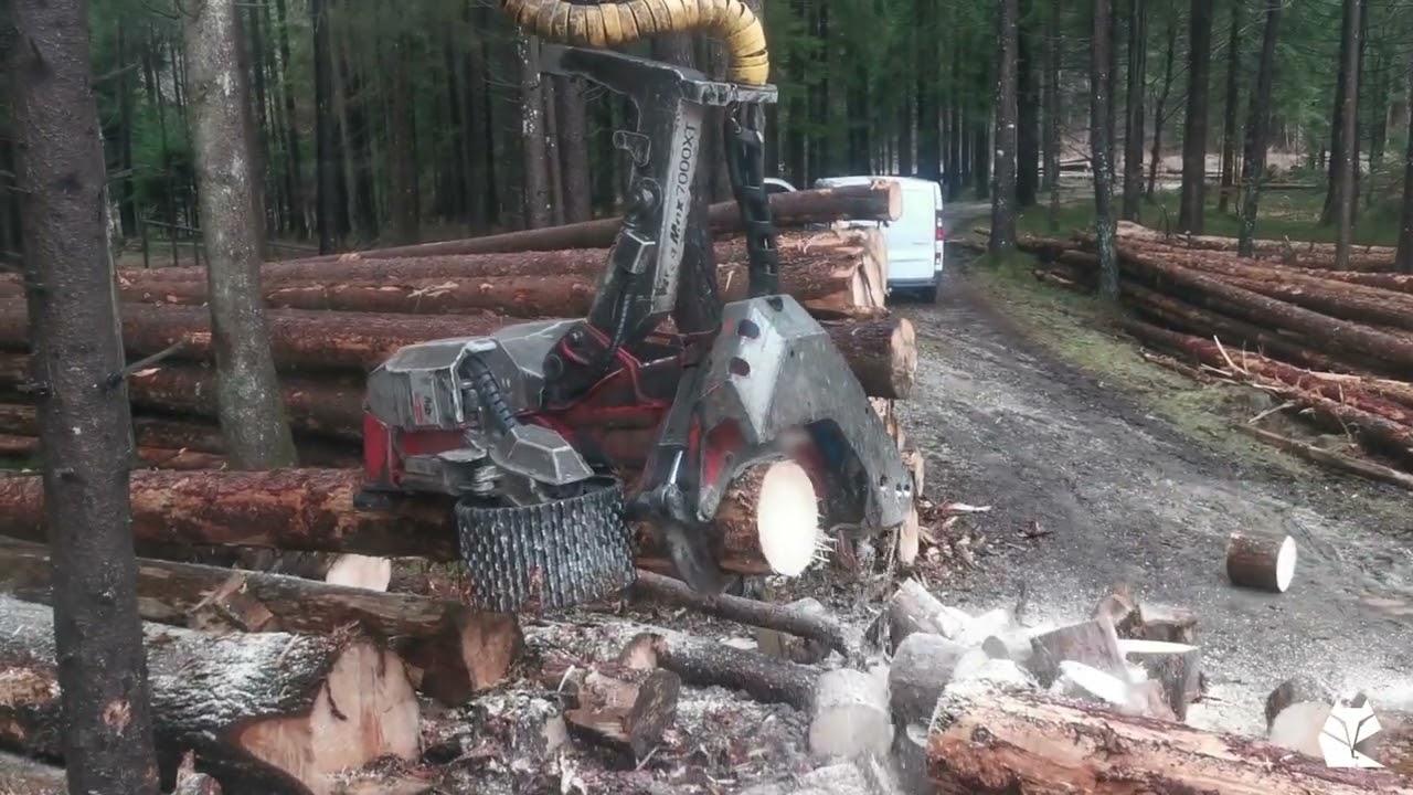 LOG MAX processore forestale 7000XT