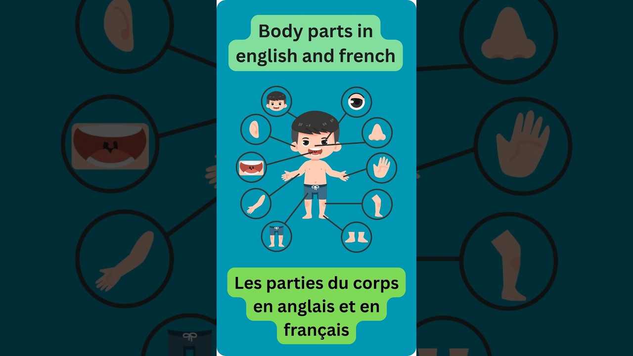 🎨 Learn Body parts in English & French for Kids | Bilingual Vocabulary Fun! #bilinguallearning