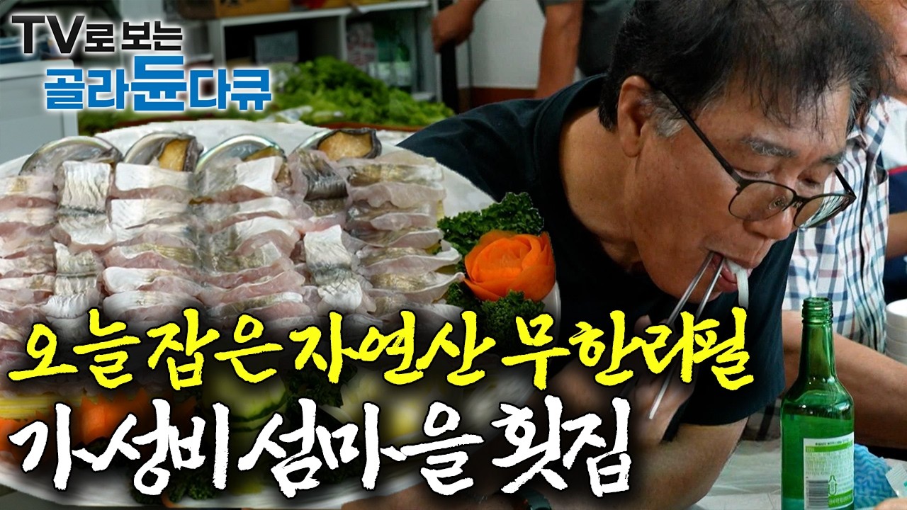 가게에 전부 아저씨들이다 소주 각 1병 그냥 들어가는 곳, 이런 곳이 찐 맛집이지. 그날 잡은 자연산 회를 무한리필로 먹을 수 있는 가성비 바닷가 횟집 모음｜한국기행｜#골라듄다큐