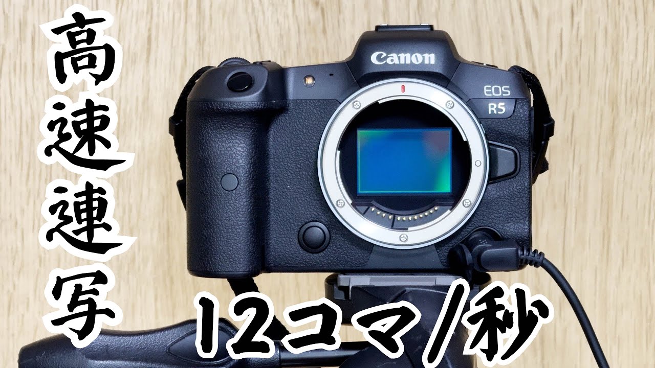 Canon EOS R5のシャッター音、連写スピード