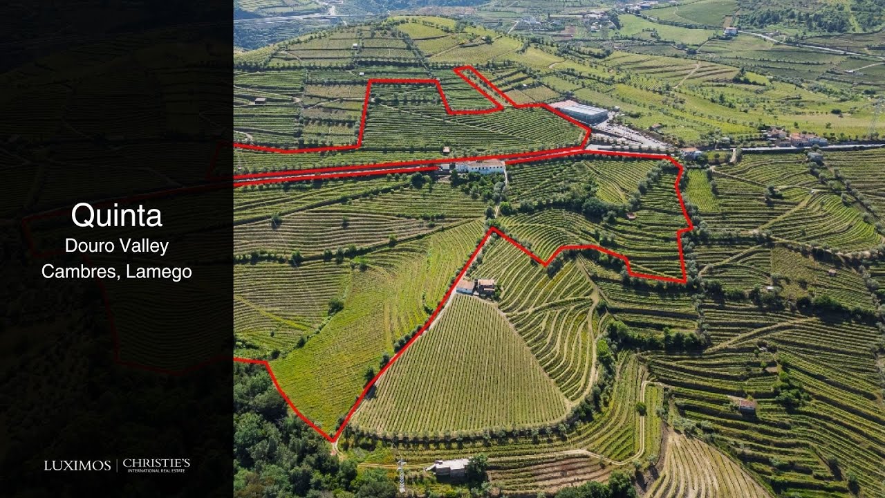 Quinta Vinícola à venda no Douro Valley em Cambres, Lamego, Portugal