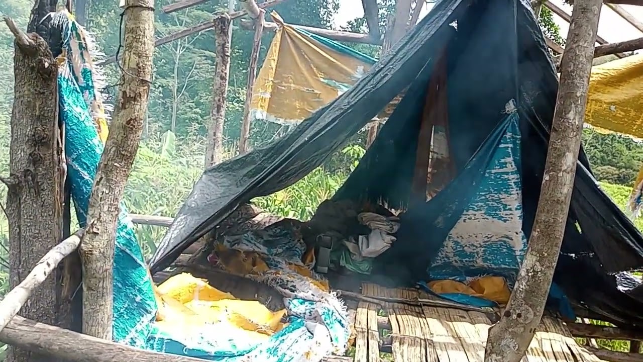 Unang vlog ni Nanay Lorna sa sakahan kasama si tatay#buhaybukid 