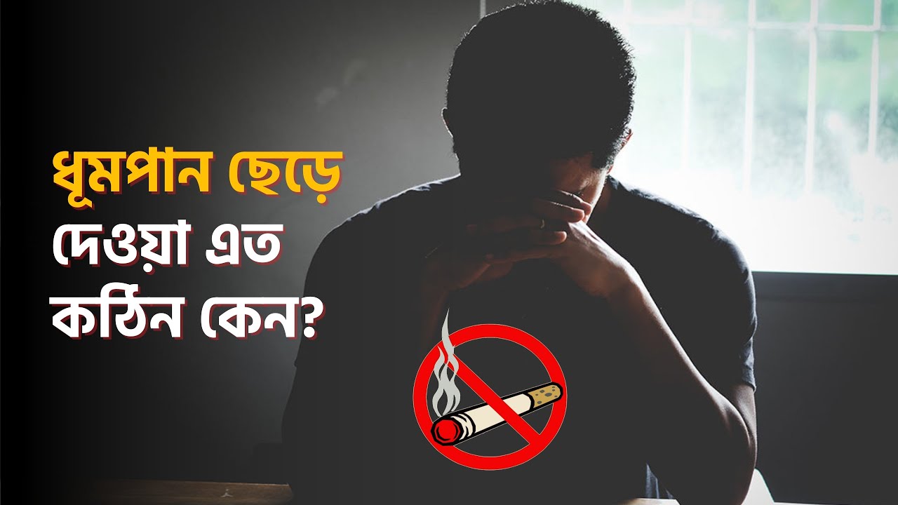দেখুন ধূমপান ছাড়লে ব্রেইনে কী প্রভাব পরে 🧠  Clear Concept