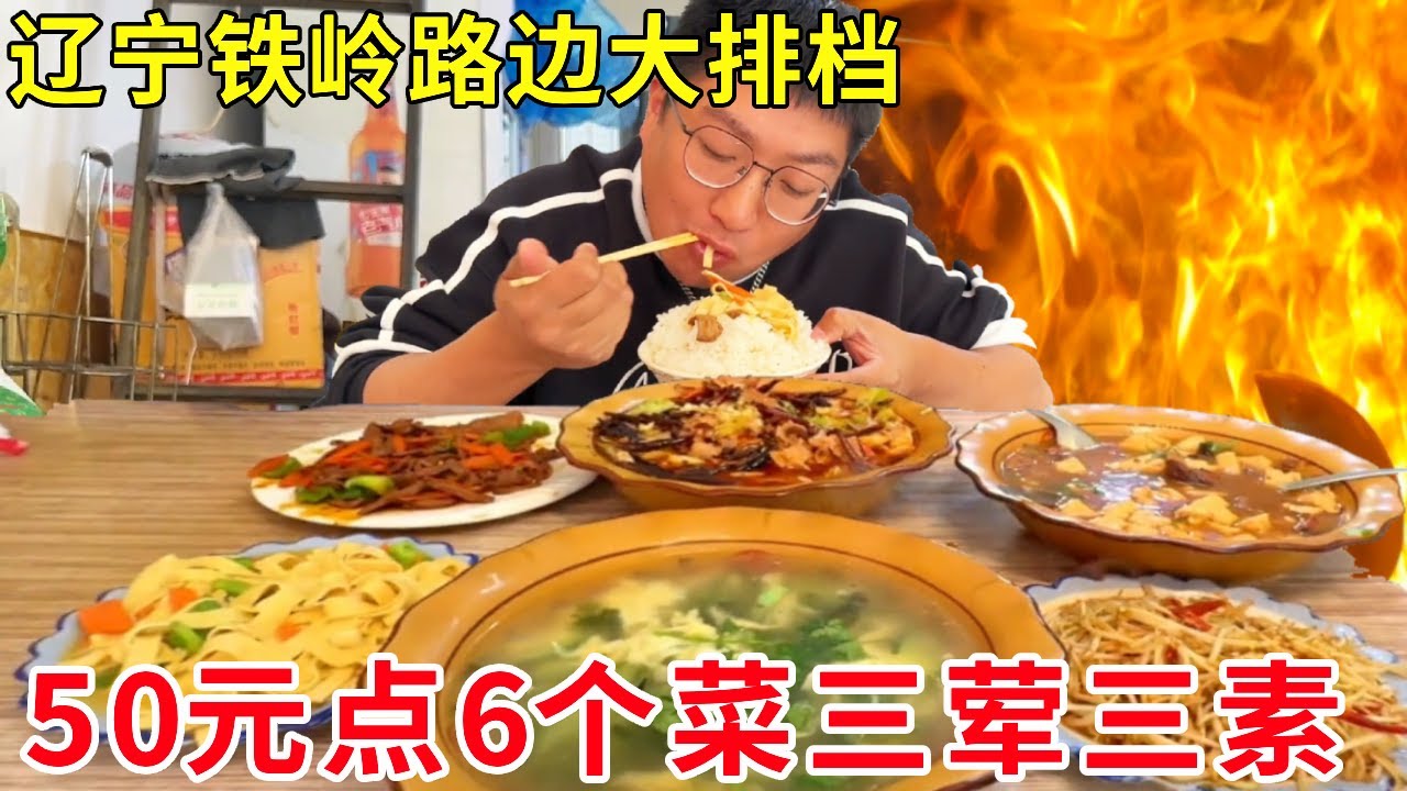 辽宁铁岭路边大排档，50元点6个菜三荤三素，物价梦回2002年#麦总去哪吃