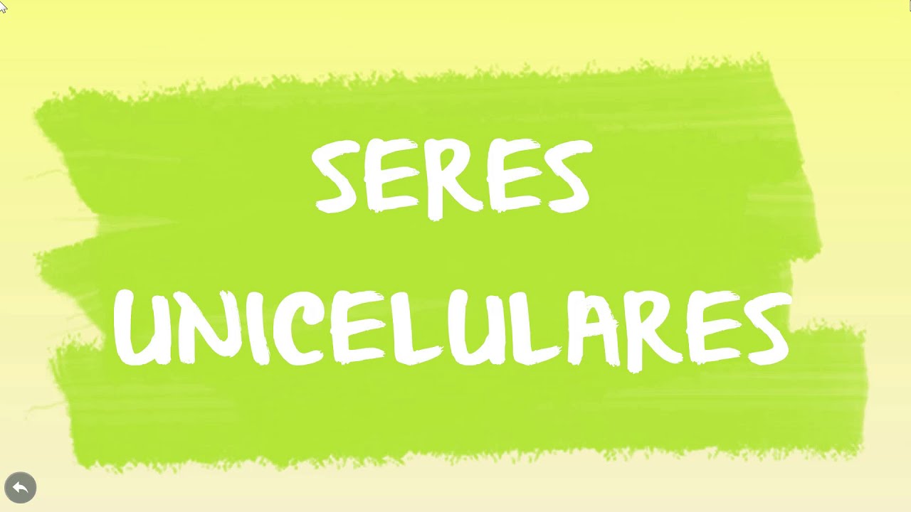 SERES UNICELULARES Y PLURICELULARES