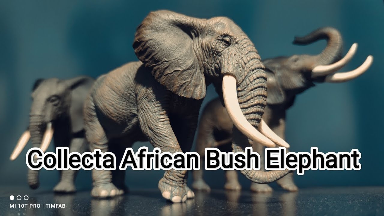 Collecta 2022 African Bush Elephant figure