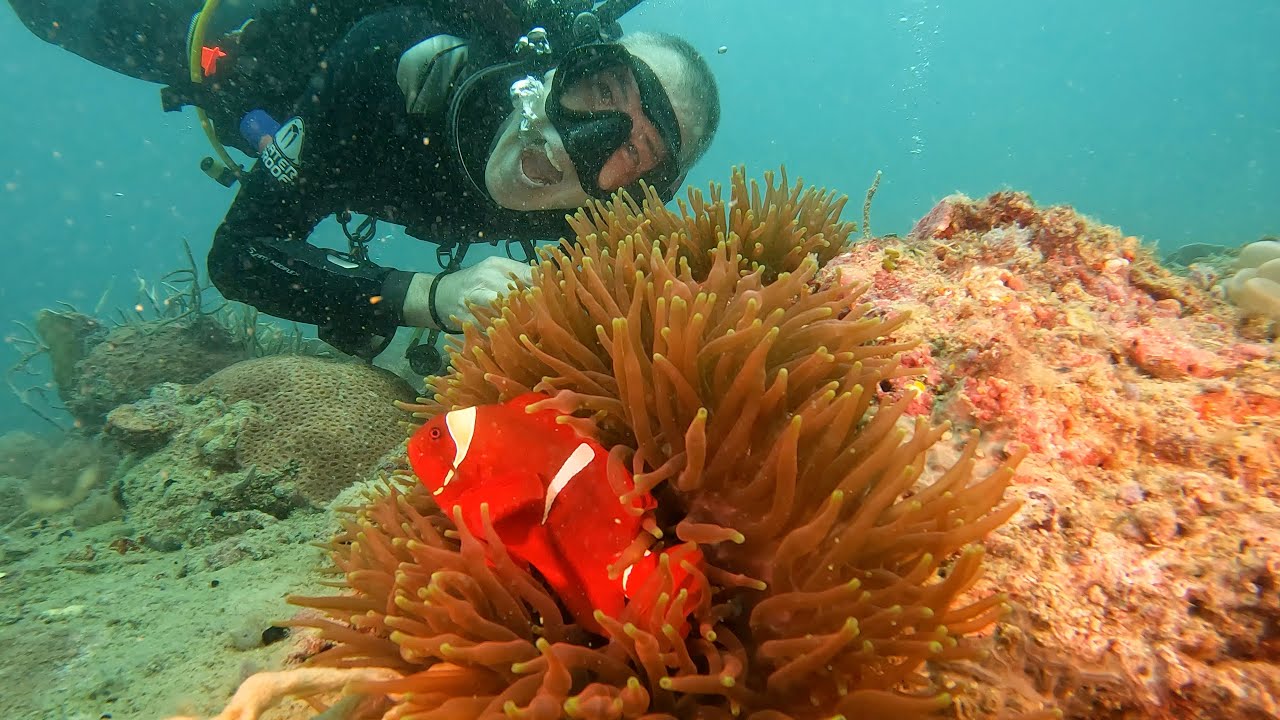 Sangat Island (Philippines) - Jan/Feb 2023