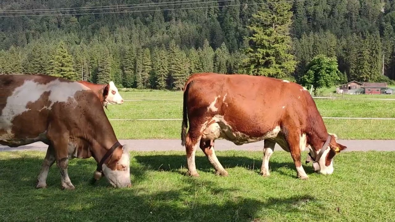 Mit Reini Reich in Farchant unterwegs