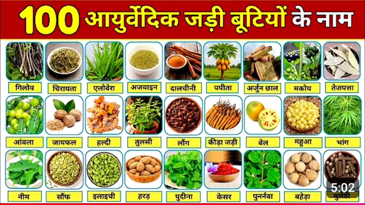 💥💡100 आयुर्वेदिक जड़ी बूंटियों के सचित्र नाम | Ayurvedic Jadi butiyon ke naam | Ayurvedic Herbs Names