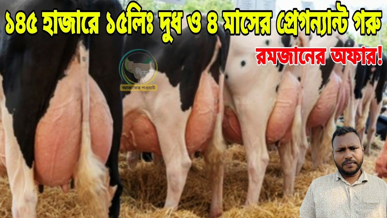 নির্বাচনে কাস্টমার নাই! মাত্র ১১৫ হাজারে ১২ লিটার ও ১৪৫ হাজারে ১৫ লিটার দুধসহ ৪ মাসের প্রেগন্যান্ট। 