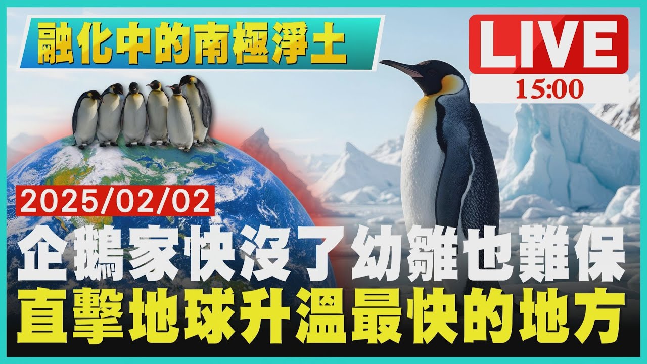 【融化中的南極淨土】企鵝家快沒了幼雛也難保　直擊地球升溫最快的地方