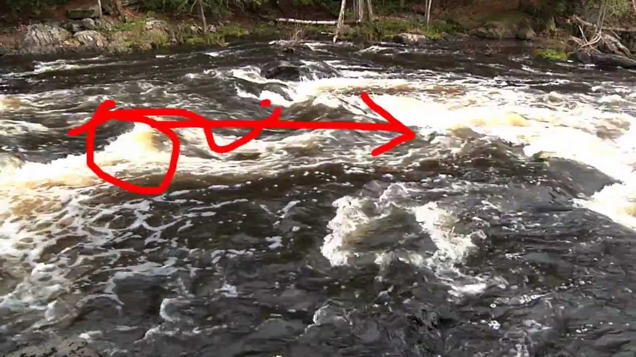 River Canoe Tripping - reading rapids