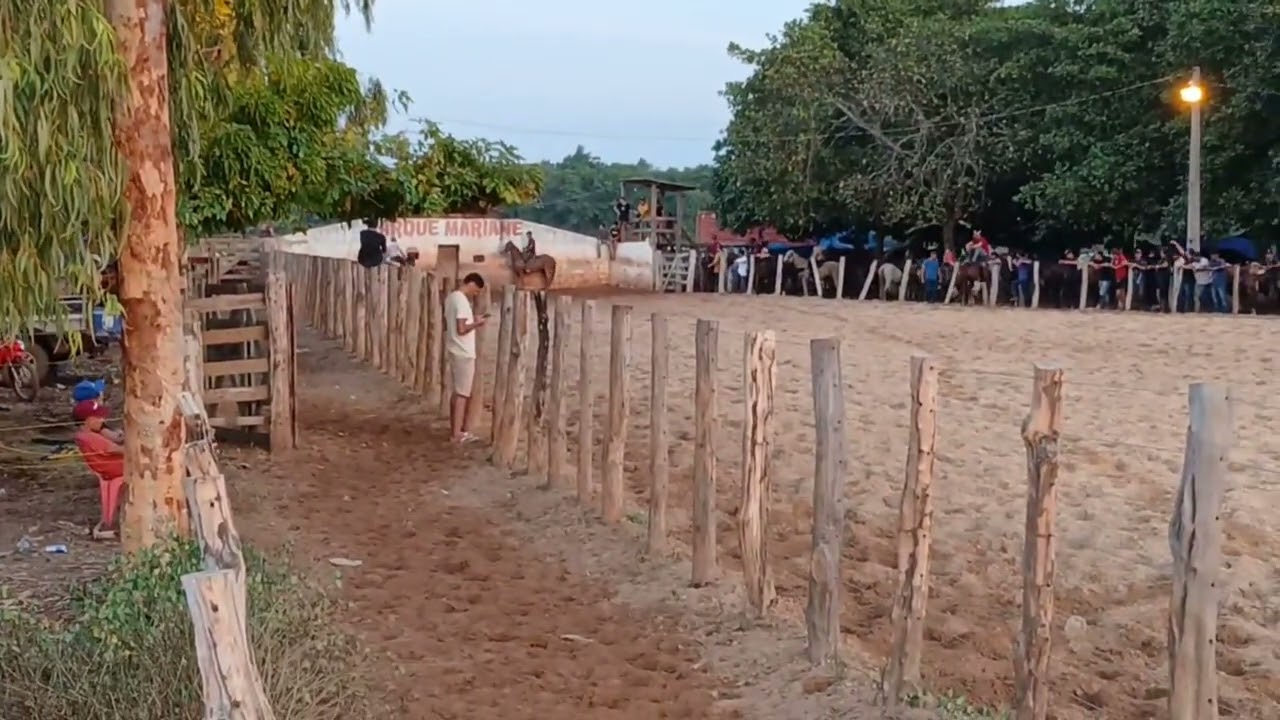 3 de fevereiro de 2026