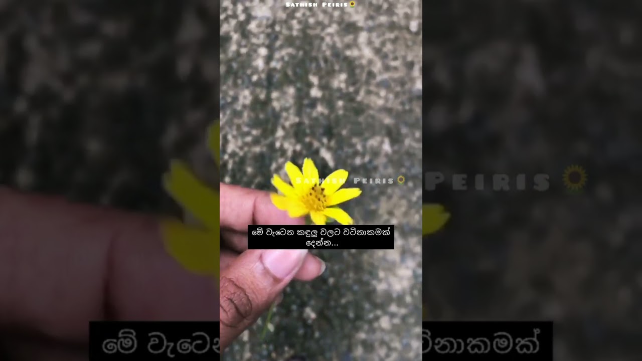 එදාට අපි හිනා වෙමු. අලුත් මිනිස්සු විදියට. ❤ script & voice : Sathish Peiris #සතිෂ්පීරිස්