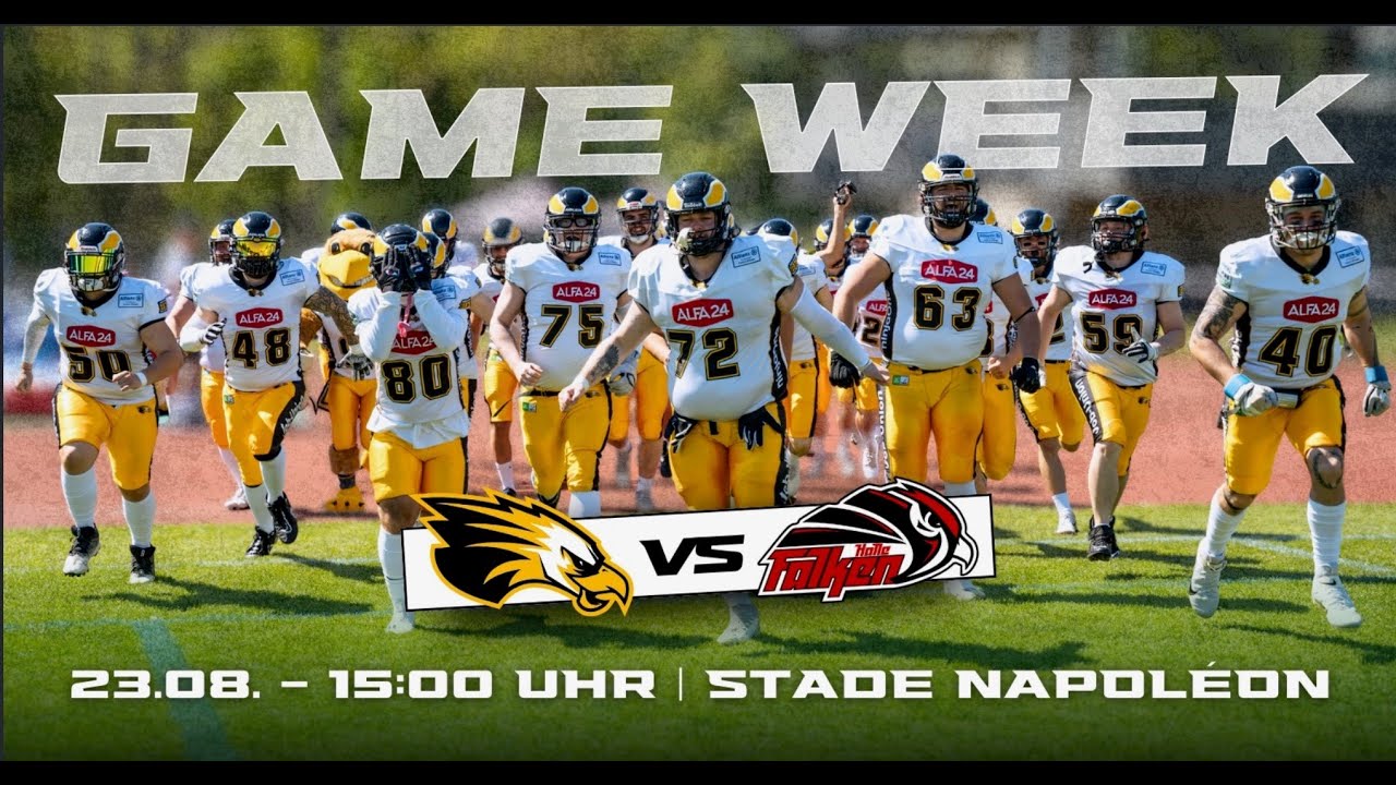 Berlin Adler vs Halle Falken Regionalliga Ost 23.08.25