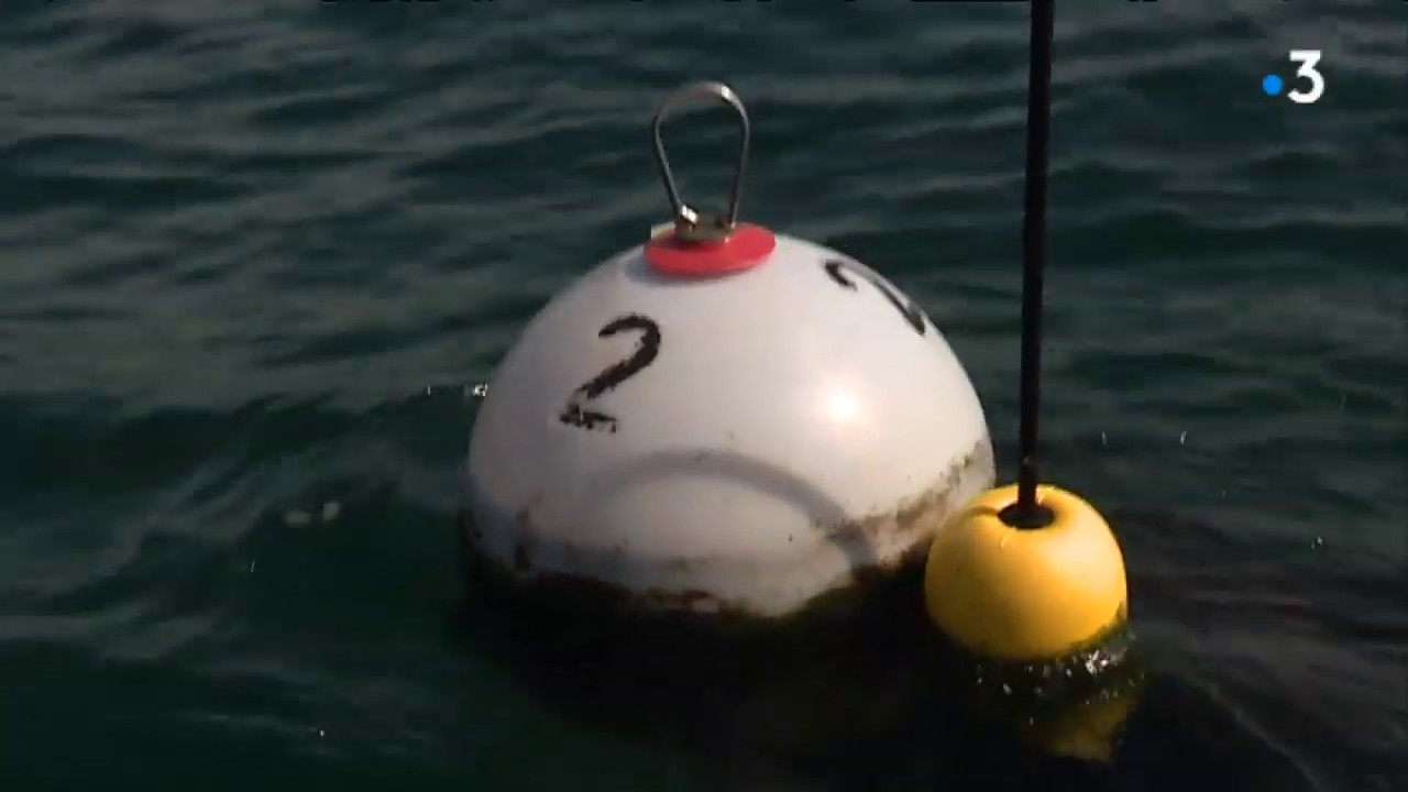 Le Croisic : Arnaud invente une perche d'amarrage