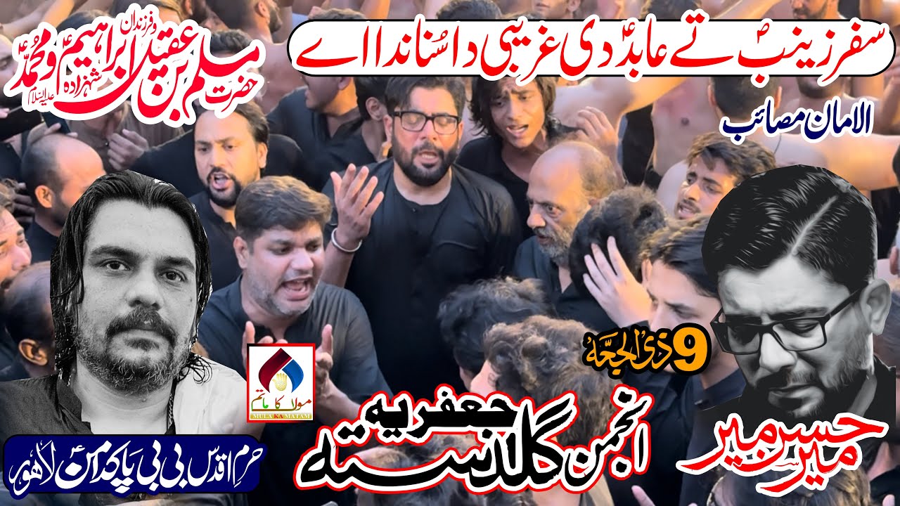 9 Zilhaj Bibi Pak Daman 2024 | Mir Hasan Mir With Guldasta e Jafferia | Noha Safar Zainab Ty Abid Di