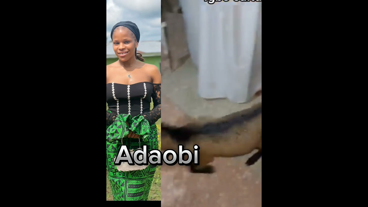 #music #chinaza #adaigbo #igbomusic #igbo #everyone Igbo cultural #cultural #igbo #fpypage #virlvide